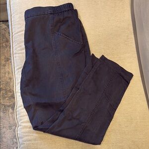 Silence + Noise Women’s Navy Blue Soft Cropped Pant Large